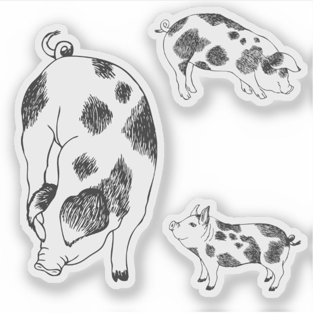 Niedliches, von der Hand gezogenes Schwein mit Kuh Aufkleber (Vorderseite)