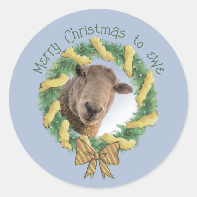 Niedliches Weihnachtsschaf-Foto Runder Aufkleber (Vorderseite)