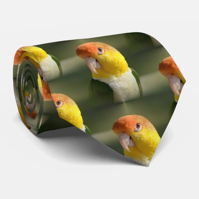Niedliches Weiß aufgeblähter Caique-Papagei Krawatte (Gerollt)