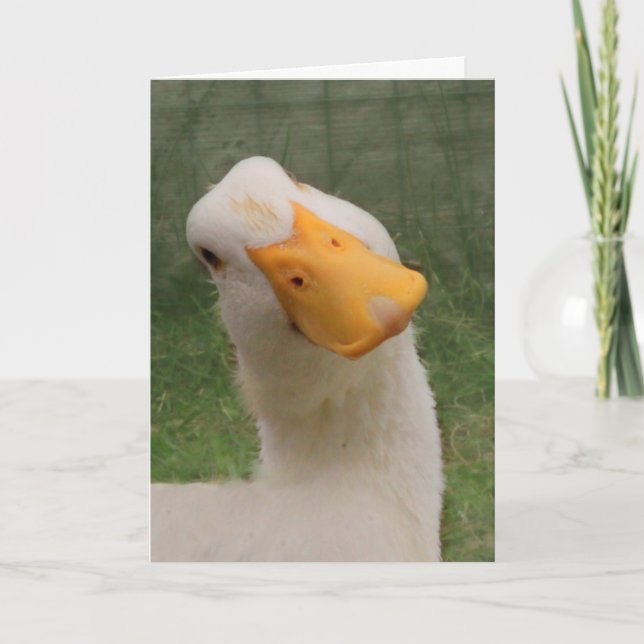 Niedliches Weiße Gänse Geburtstag Karte (Vorderseite)