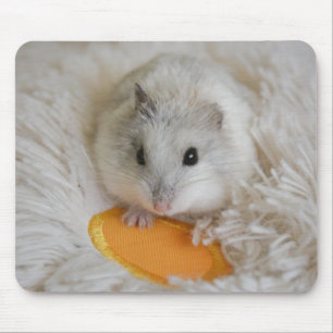 Niedliches Weiße Zwerg Hamster Mousepad