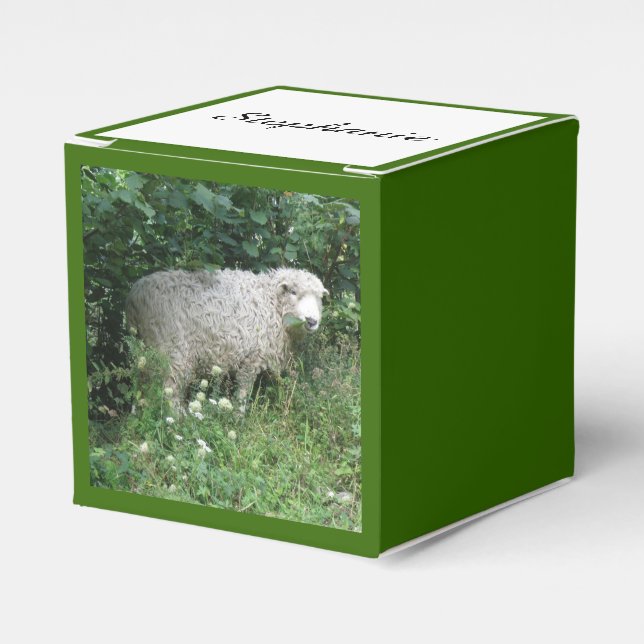 Niedliches weißes, fließendes Schaf mit individuel Geschenkschachtel (Vorderseite)