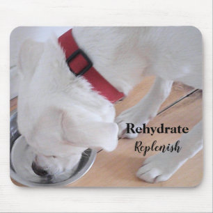 Niedliches weißes Labrador Mix Welpenhund Trinkwas Mousepad