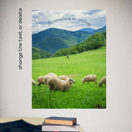 Niedliches weißes Schaf auf einer Wiese unter dem  Poster