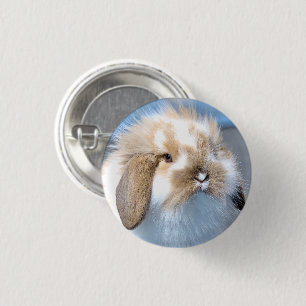 Niedliches weißes und braunes Kaninchen aus Flande Button