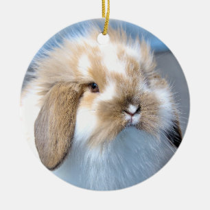 Niedliches weißes und braunes Kaninchen aus Flande Keramik Ornament