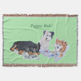 niedliches Welpe sheba inu rotty Collie und Decke