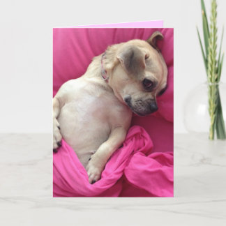 Niedliches Welpen-Hundetuckern im Rosa bedeckt Karte