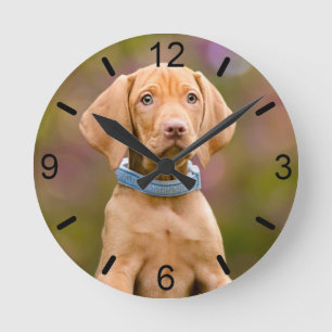 Niedliches Welpen-Ungarisches Vizsla-Hund-Welpen-F Runde Wanduhr