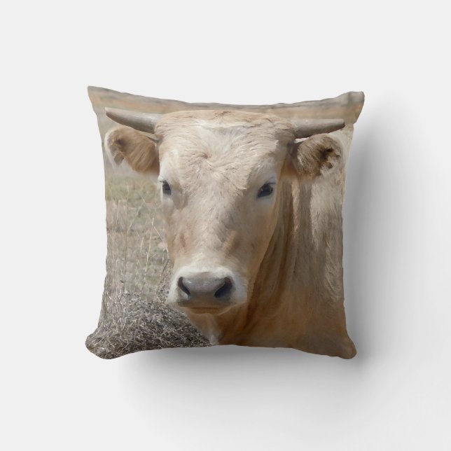 Niedliches Western-Charolais-Kuh-Gesicht Kissen (Vorderseite)