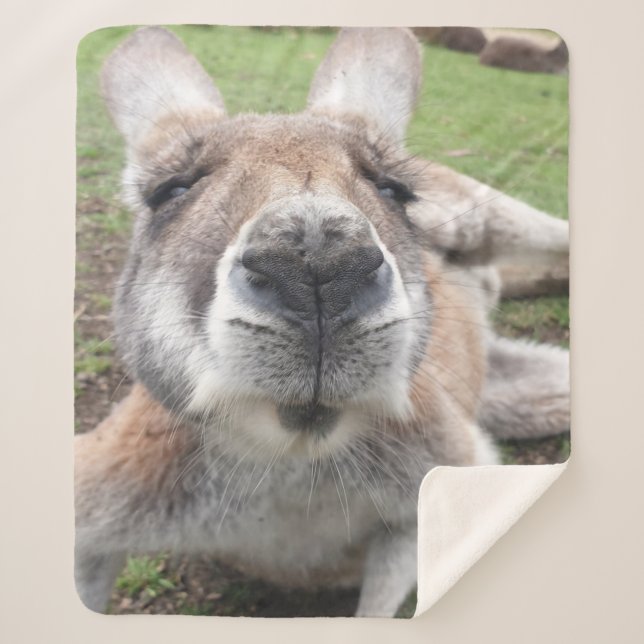 Niedliches Wetter Kangaroo Kawaii Sherpadecke (Vorderseite)