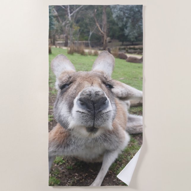 Niedliches Wetter Kangaroo Kawaii Tier Strandtuch (Vorderseite)