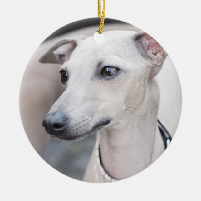 Niedliches Whippet Keramik Ornament (Vorne)