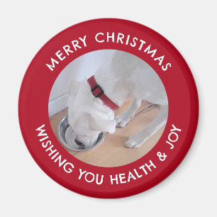 Niedliches White Dog Foto Gesund froh Weihnachten  Magnet
