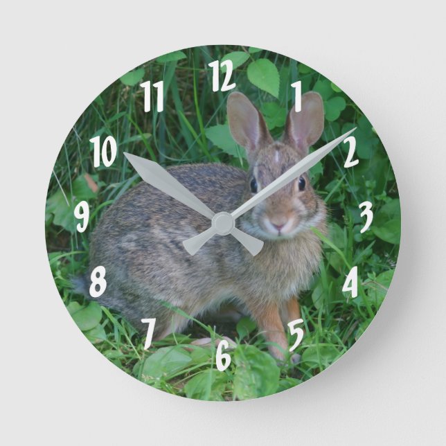 Niedliches Wild-Brown-Kaninchen Runde Wanduhr (Vorderseite)