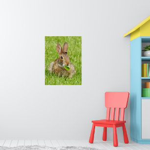 Niedliches wildes Kaninchenessen Poster
