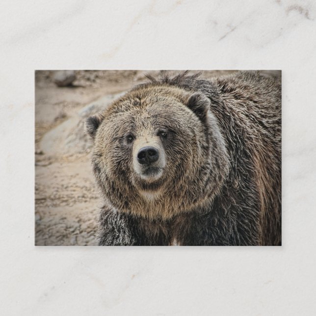 Niedliches wildes Tiergrizzly-Bärn-Gesicht Visitenkarte (Vorderseite)