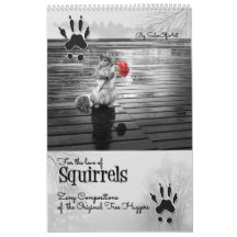 Niedliches Wildichhörnchen 12 Monate