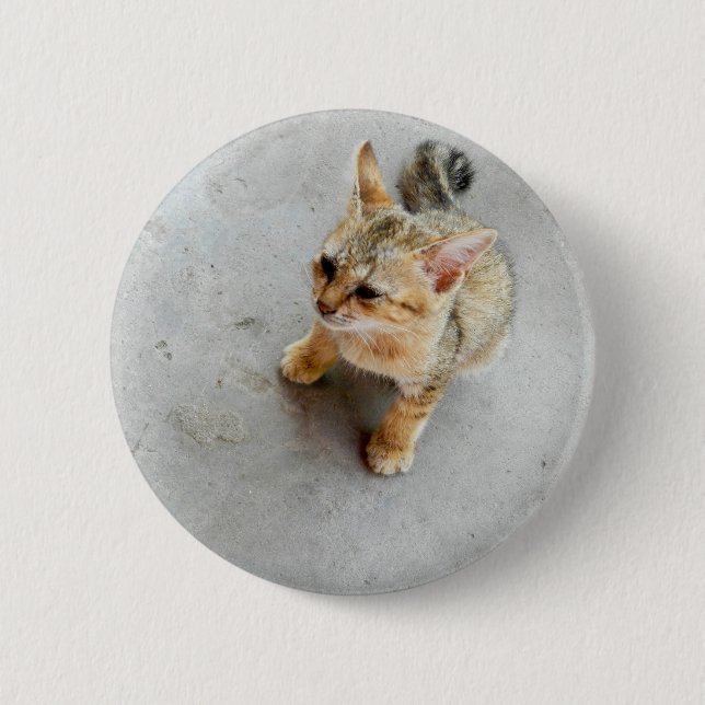 Niedliches Wildkatzen Button (Vorderseite)