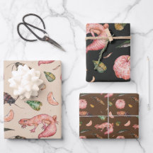 Niedliches Wrapping Paper Set mit Lizens und Roach