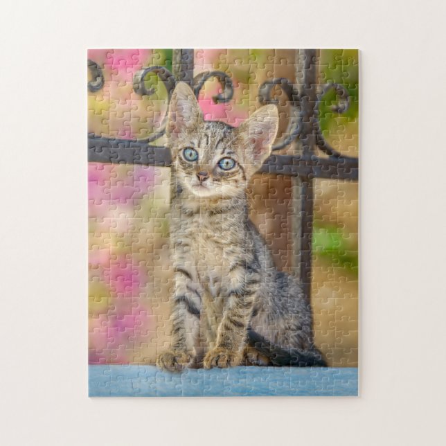Niedliches Young Tabby Kitten mit blauen Augen in  (Vertikal)