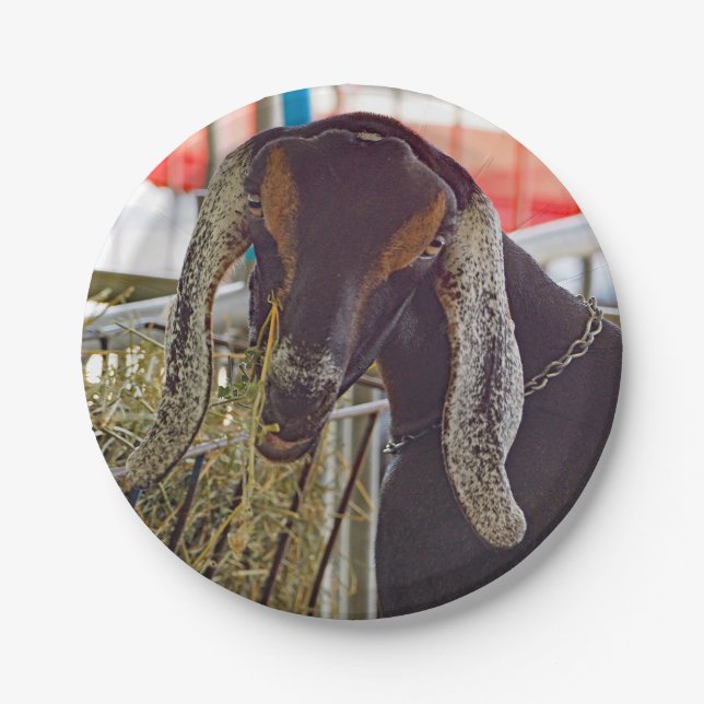 Niedliches Ziegenlanges Foto Pappteller (Vorderseite)
