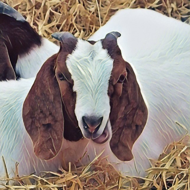 NIEDLICHES ZIEL NOTIZBLOCK (An art design of a cute Boer Goat. The breed originating from South Africa.)