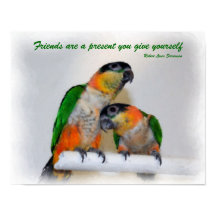 Niedliches Zitat von Caique Parrot Pair Friends