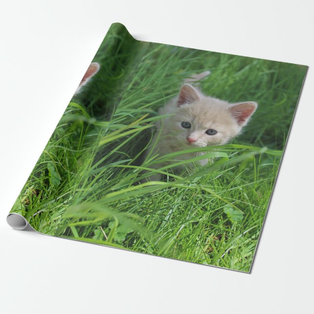 Niedlichkeit Geschenkpapier (Ungerollt)