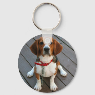 Niedlichster Beagle-Hund überhaupt Schlüsselanhänger