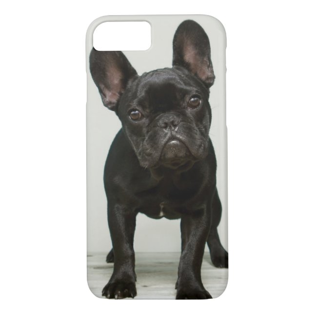 Niedlichster französische Bulldoggen-Welpe Case-Mate iPhone Hülle (Rückseite)