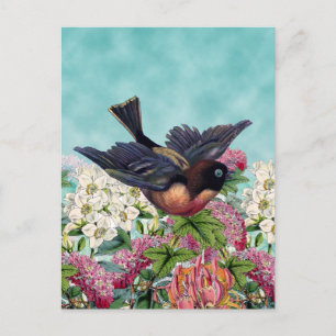 niedlichster Vogel mit blauen Augen, der über Blum Postkarte