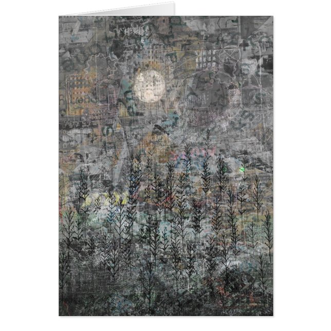 Niedriger Winter Sun (Vorne)