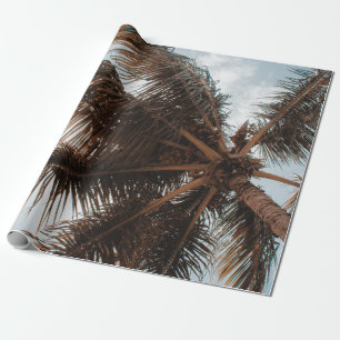 NIEDRIGES FOTO DES KOKOUSBAUES GESCHENKPAPIER