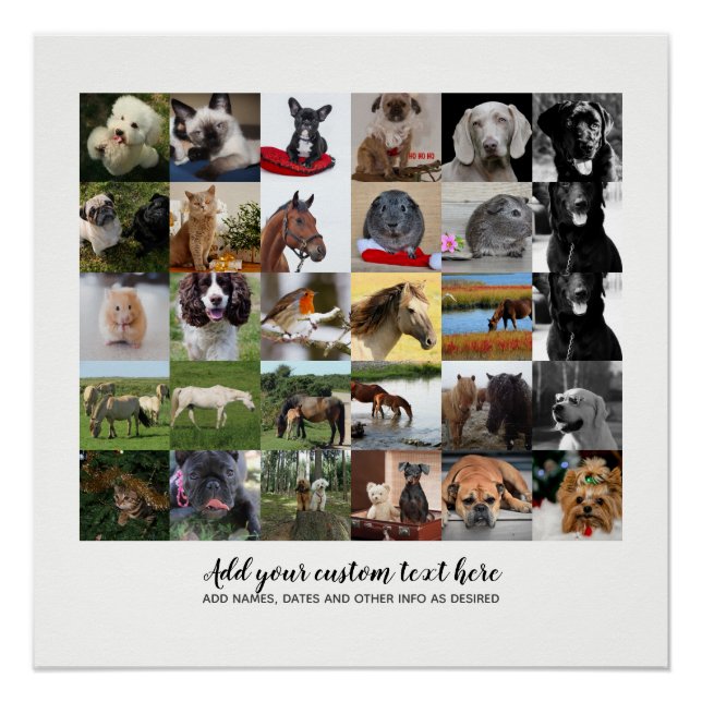 Niedrigste Preise! 35 x FOTO Collage und benutzerd Poster (Vorderseite)