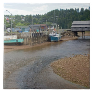 Niedrigwasser an der Bay of Fundy in St. Martins,  Fliese
