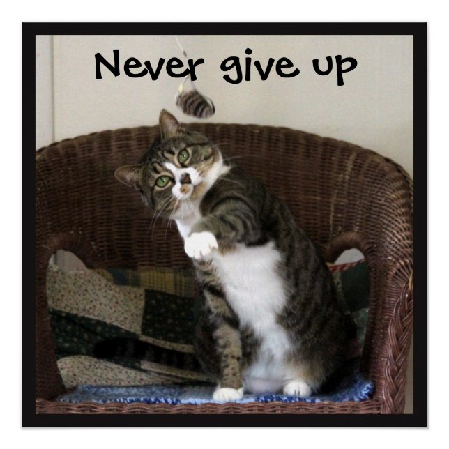 Niemals aufgeben - Cat Chasing Mouse Poster (Vorderseite)