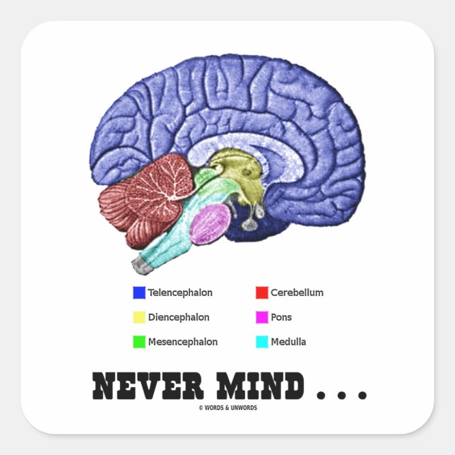 Niemals Gedanken ... (Gehirnanatomie Psyche Spaß Quadratischer Aufkleber (Vorderseite)