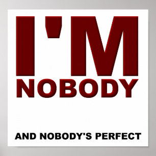 Niemand ist ein perfektes lustiges Poster