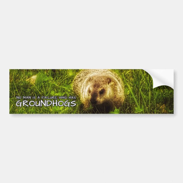 Niemand ist ein Versager, der Groundhogs hat Autoaufkleber (Vorne)