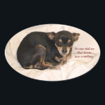 Niemand sagte mir, dass der Weihnachtsmann zusah. Ovaler Aufkleber<br><div class="desc">Dieser kleine Chihuahua sieht so aus,  als ob er in Schwierigkeiten got wäre,  und jetzt ist er besorgt,  dass der Weihnachtsmann das vielleicht gesehen hat. Aber er ist so niedlich,  dass ich sicher bin,  dass der Weihnachtsmann ihm noch ein Geschenk machen wird.</div>