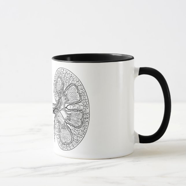 NIERE 2 ZEICHNEND TASSE (Rechts)
