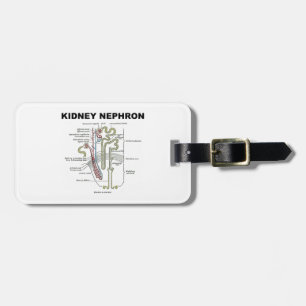 Niere Nephron (die Anatomie-Lehrbuch des Graus) Gepäckanhänger