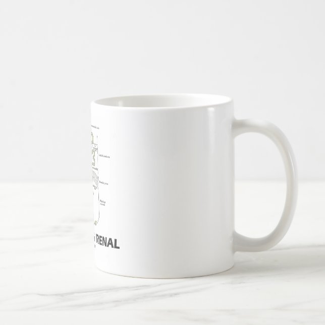 Nieren gerade seiend (Niere Nephron) Kaffeetasse (Rechts)