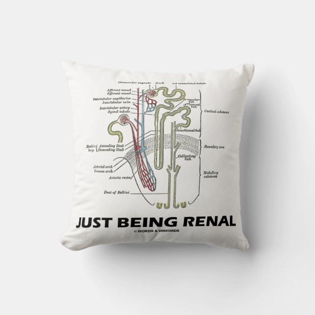 Nieren gerade seiend (Niere Nephron NierenSpaß) Kissen (Vorderseite)