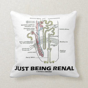 Nieren gerade seiend (Niere Nephron NierenSpaß) Kissen