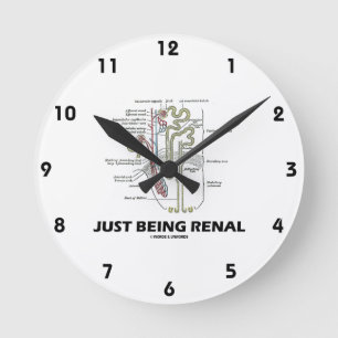 Nieren gerade seiend (Niere Nephron NierenSpaß) Runde Wanduhr
