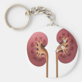 Nieren Schlüsselanhänger