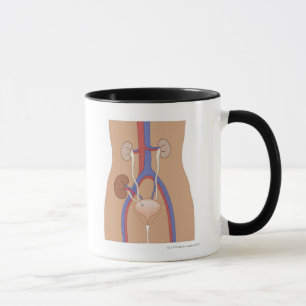 Nieren-Transplantation Tasse