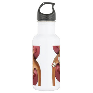 Nieren Trinkflasche